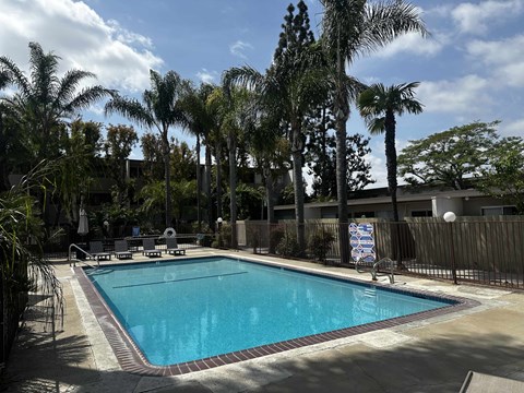 A swimming pool surrounded by palm trees and a fence.