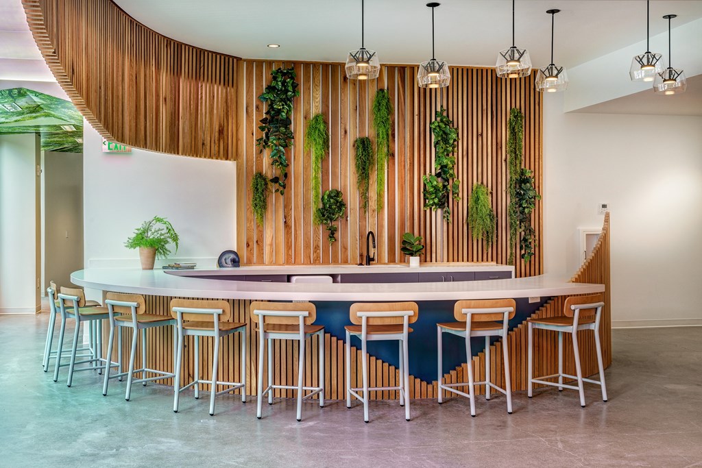 A bar with a white counter and blue bar stools with a wooden wall behind it.