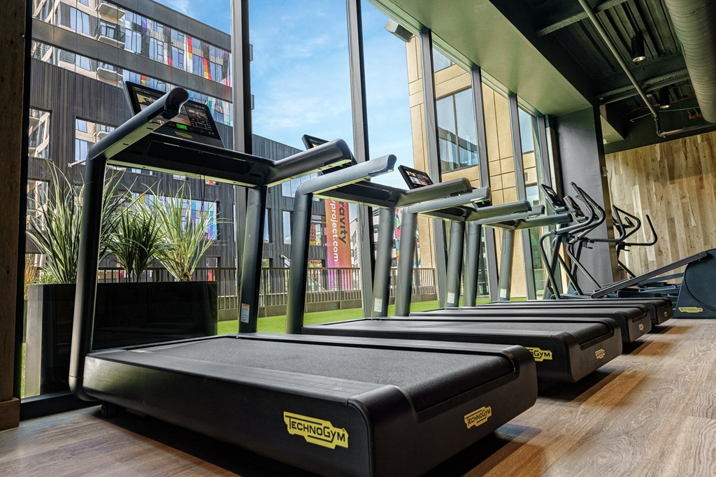 A row of treadmills in a gym with a view of the outside.