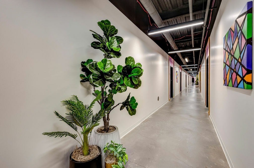 A long hallway with a green plant on the left and a colorful painting on the right.