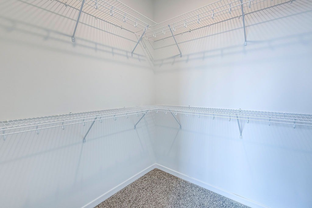 A room with a white wall and a carpeted floor.