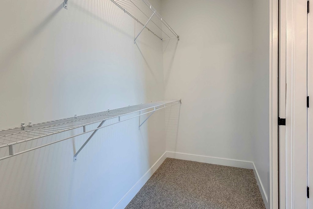 Empty room with white walls and carpeted floor.