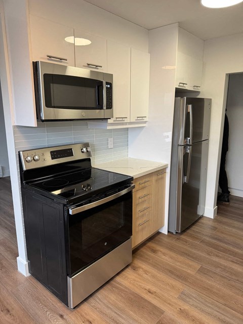 10630 122 Street Northwest 1-3 Beds Apartment for Rent - Photo Gallery 3