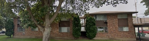 A tree in front of a brick building with a green bush to the right.