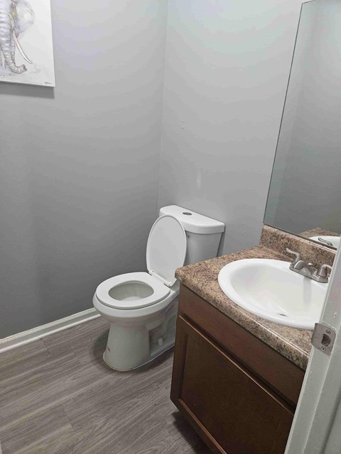 A white toilet sits next to a bathroom sink.