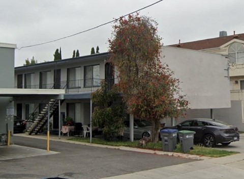 A tree with red leaves is in front of a grey building.
