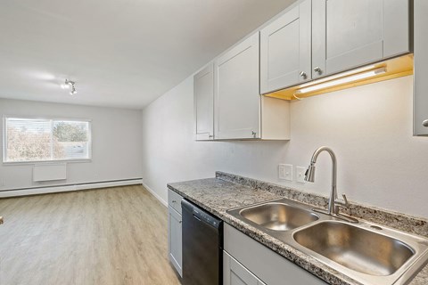 A kitchen with a dishwasher and a sink.