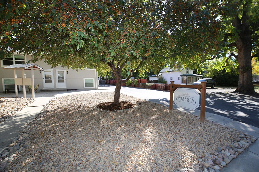A tree in a landscaped area with a sign that says "Bowood".