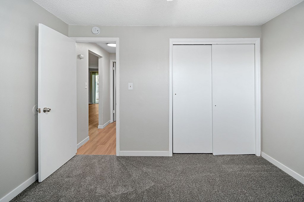A room with a carpeted floor and two white doors.