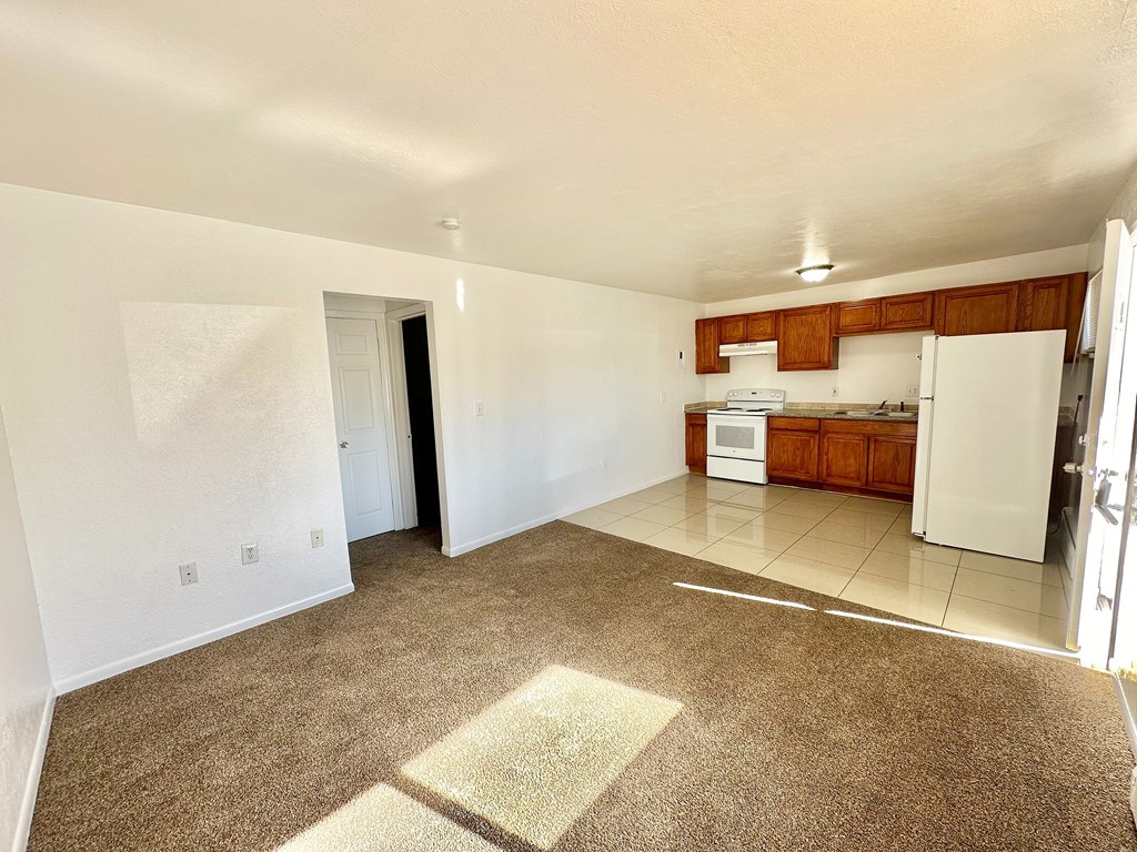 A room with a brown carpet and white walls.
