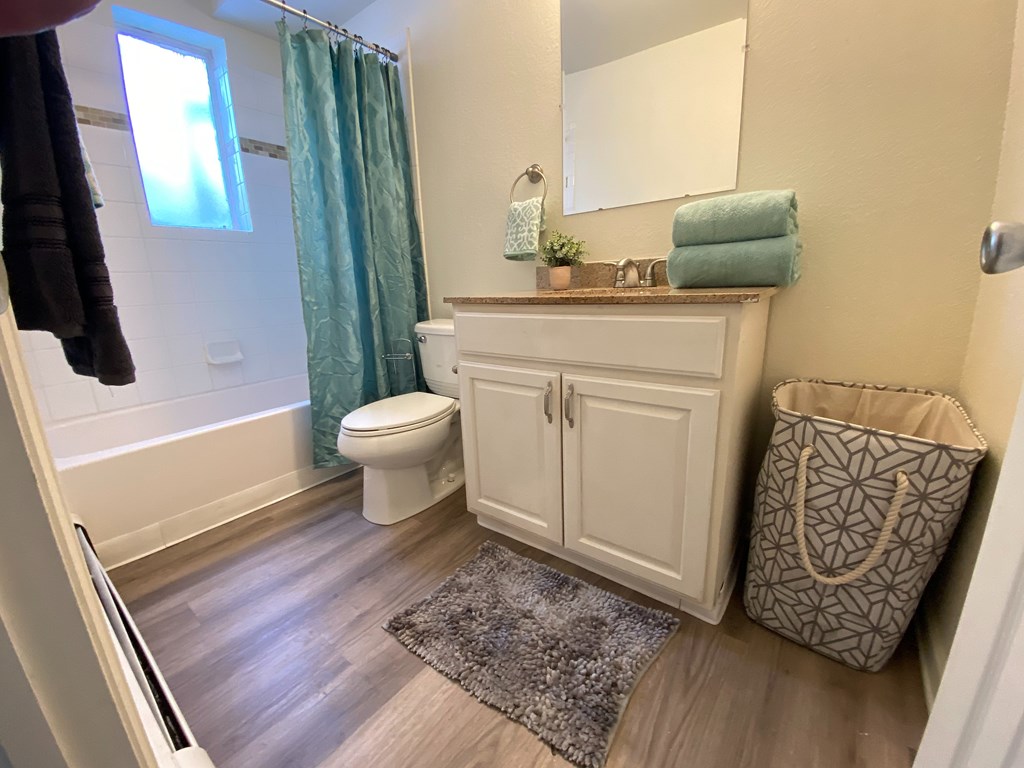 A bathroom with a toilet, sink, and a rug.