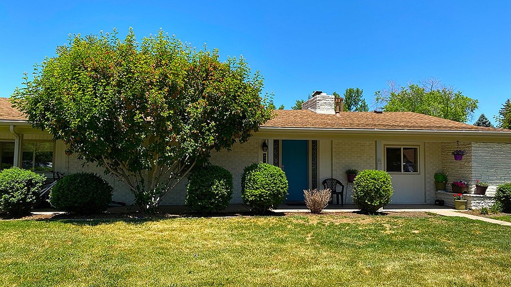 A house with a blue door and a tree in front.