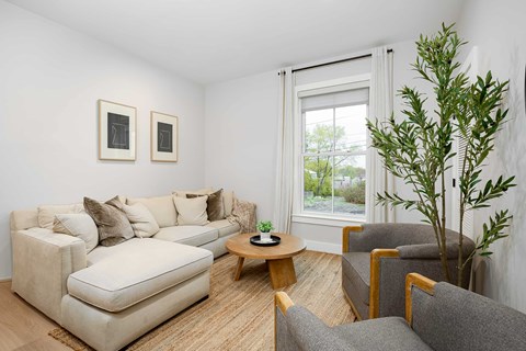 A living room with a couch, chair, and a plant.