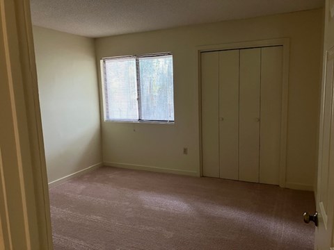 A room with a window and a closet.
