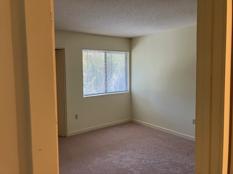 A room with a window and carpeted floor.