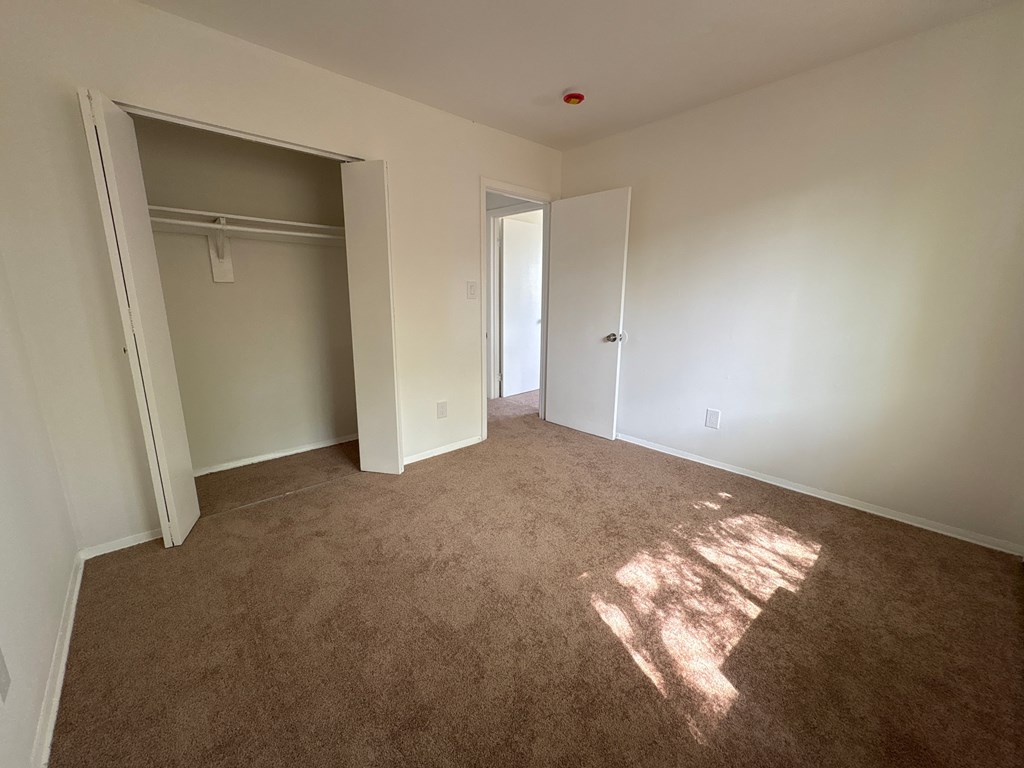 A room with a carpeted floor and a closet with a white door.