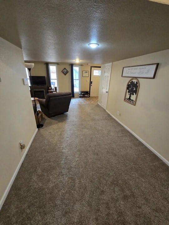 A living room with a couch and a television.
