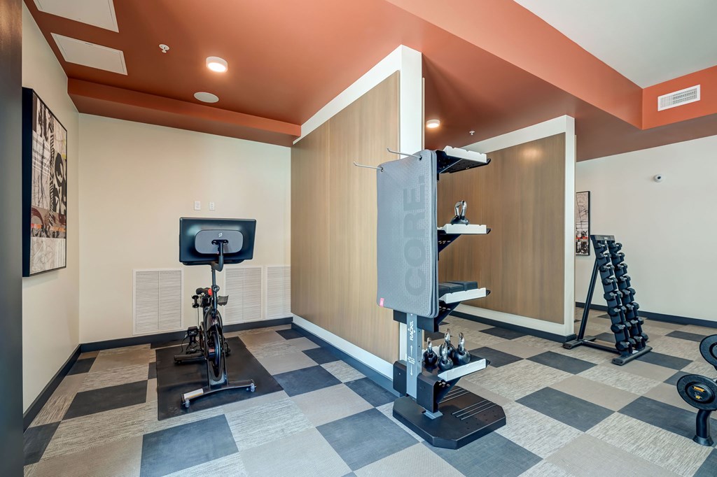 A gym with a treadmill, weights and a television.