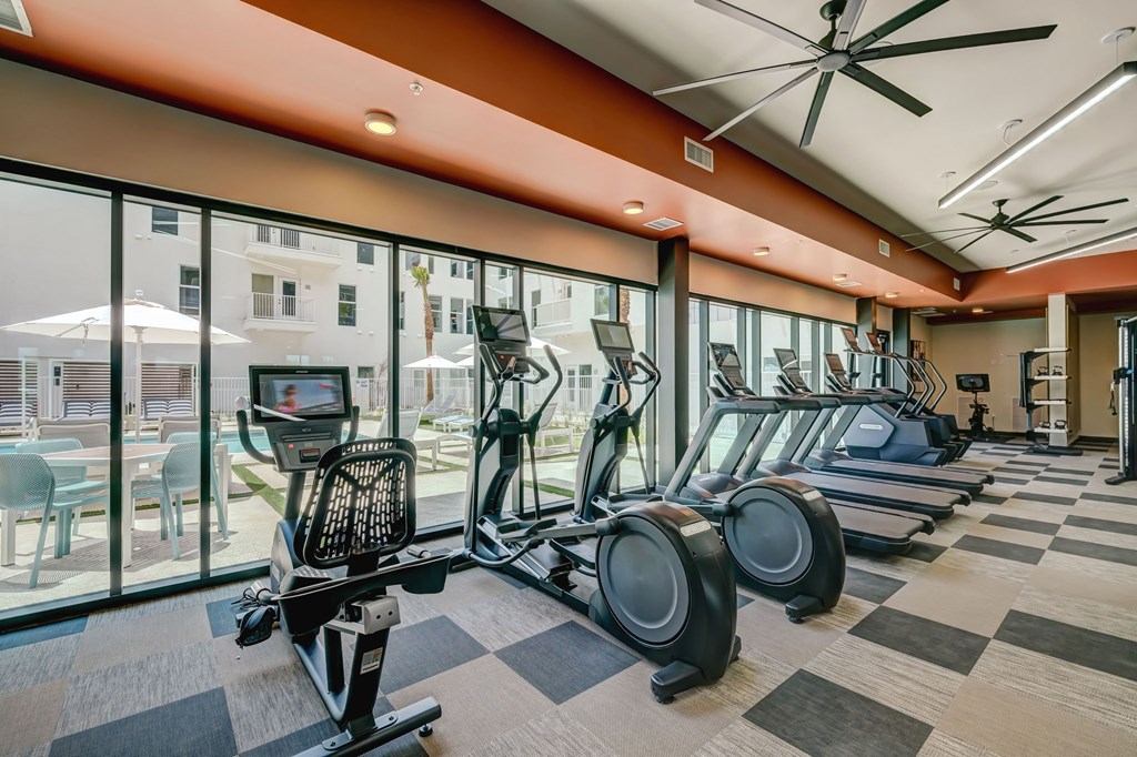 A gym with treadmills and exercise bikes.