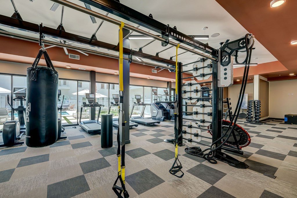 A gym with a punching bag, weight rack and other equipment.