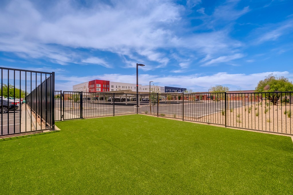 A black fence surrounds a green field.