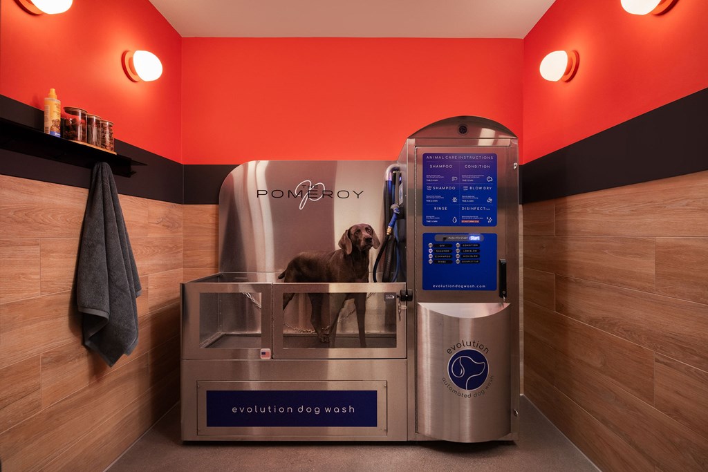 A dog washing machine with a sign that says "evolution dog wash".
