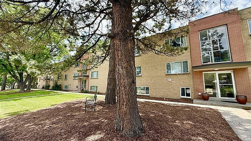 A tree stands in front of a brick building with a bench to the left.