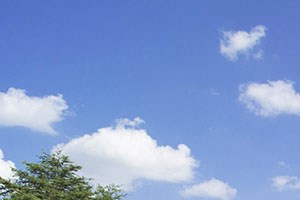 The Arbors at Breckinridge Apartment Homes | Rentals Near I-85 & I-285