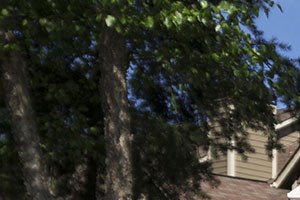 The Arbors at Breckinridge Apartments Duluth, GA 30096 Best Apartments in Duluth GA Near I-85 - Photo Gallery 2