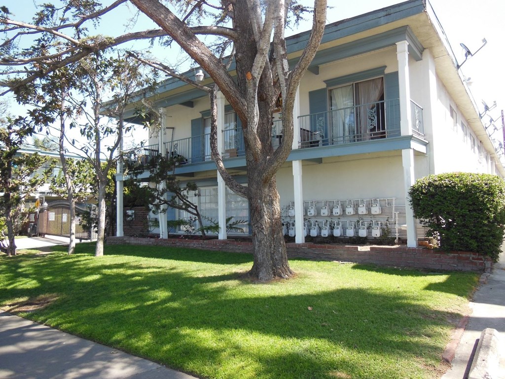 A tree in front of a white house with a balcony.