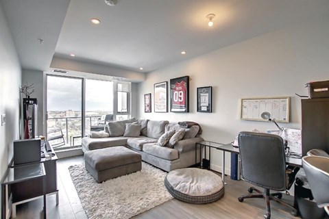 A living room with a grey couch and a white rug.