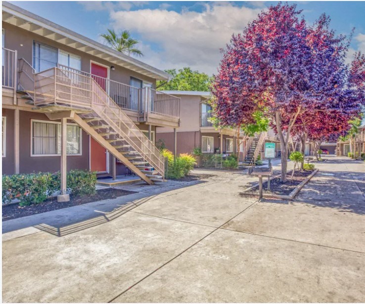 A tree with purple leaves is in the foreground of a sunny day at a residential complex.