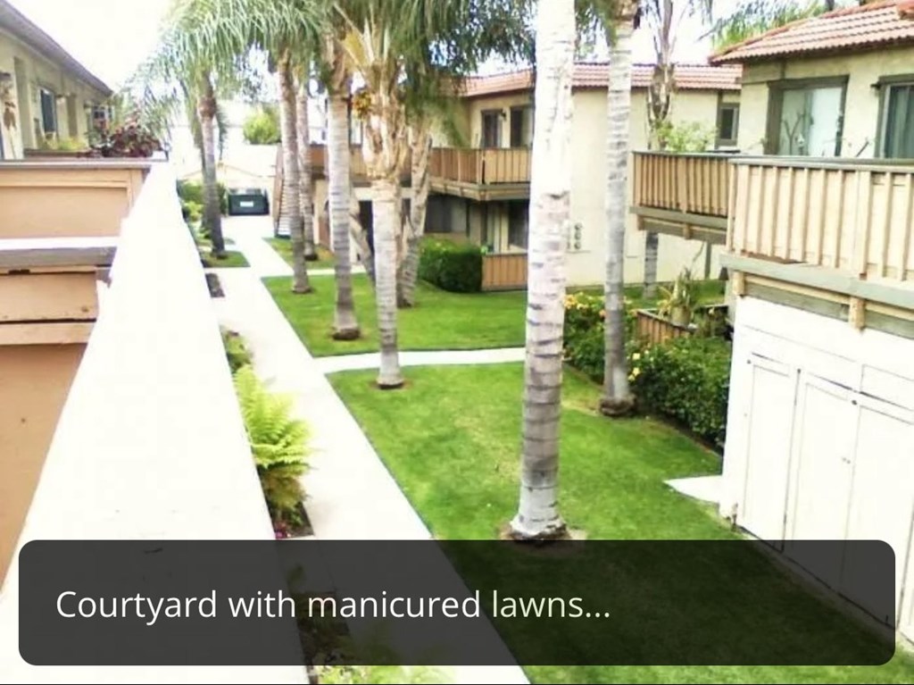A courtyard with manicured lawns and palm trees.