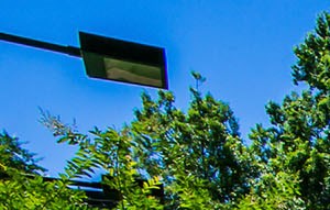 The Gardens Of East Cobb Apartment Homes Apartments In Marietta Ga