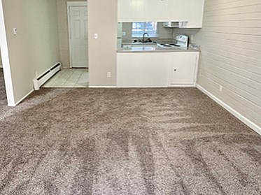 A room with a carpeted floor and a kitchen area in the background.