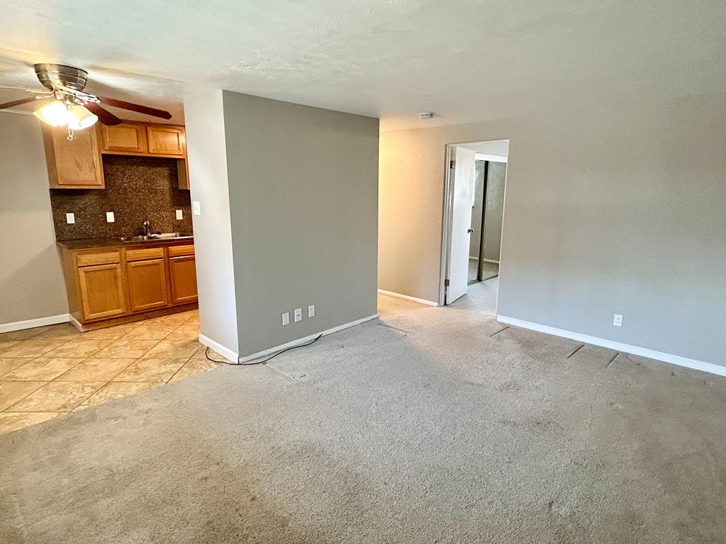 A room with a carpeted floor and a ceiling fan.