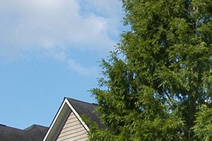 Glen Park Apartments Smyrna, GA 30082 1, 2, 3, and 4-Bedroom Apartments on Windy Hill Road - Photo Gallery 4