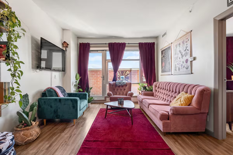 A living room with a red rug and a pink couch.