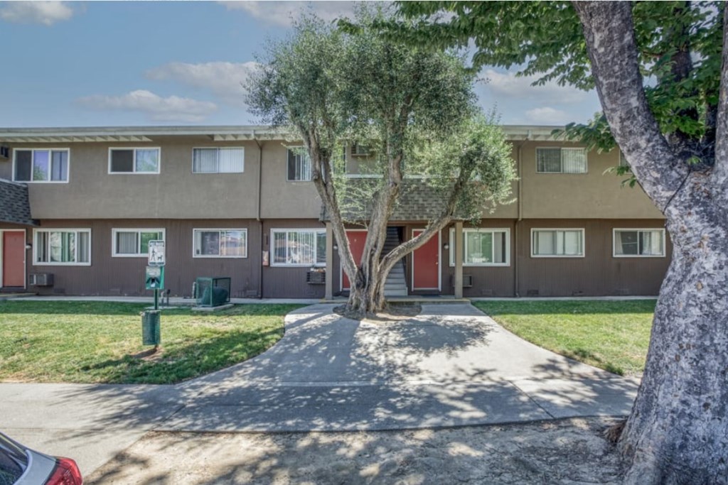 A tree in front of a building with a red door.
