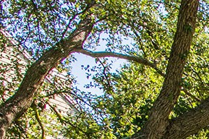 Macarthur Ridge Apartments Near Coppell Texas Photo Gallery