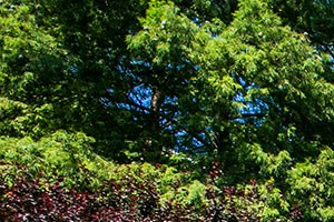 MacArthur Ridge Apartments Near Coppell, Texas | Photo Gallery