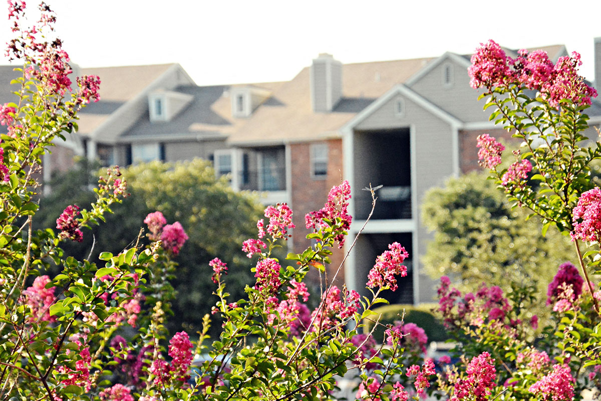 MacArthur Ridge Apartments Near Coppell, Texas Photo Gallery