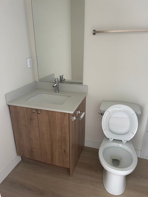 A white toilet sits next to a sink in a bathroom.