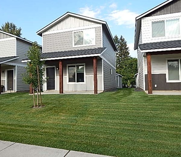 A small tree is in the front yard of a house.