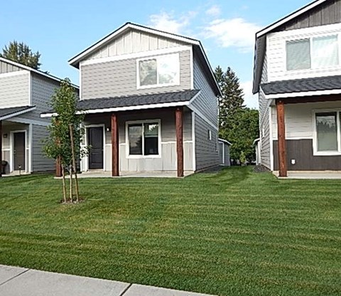 A small tree is in the front yard of a house.
