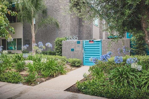 A garden with a blue mailbox and a number 605 on the wall.