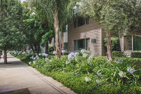 A house with a brown siding is surrounded by greenery and trees.