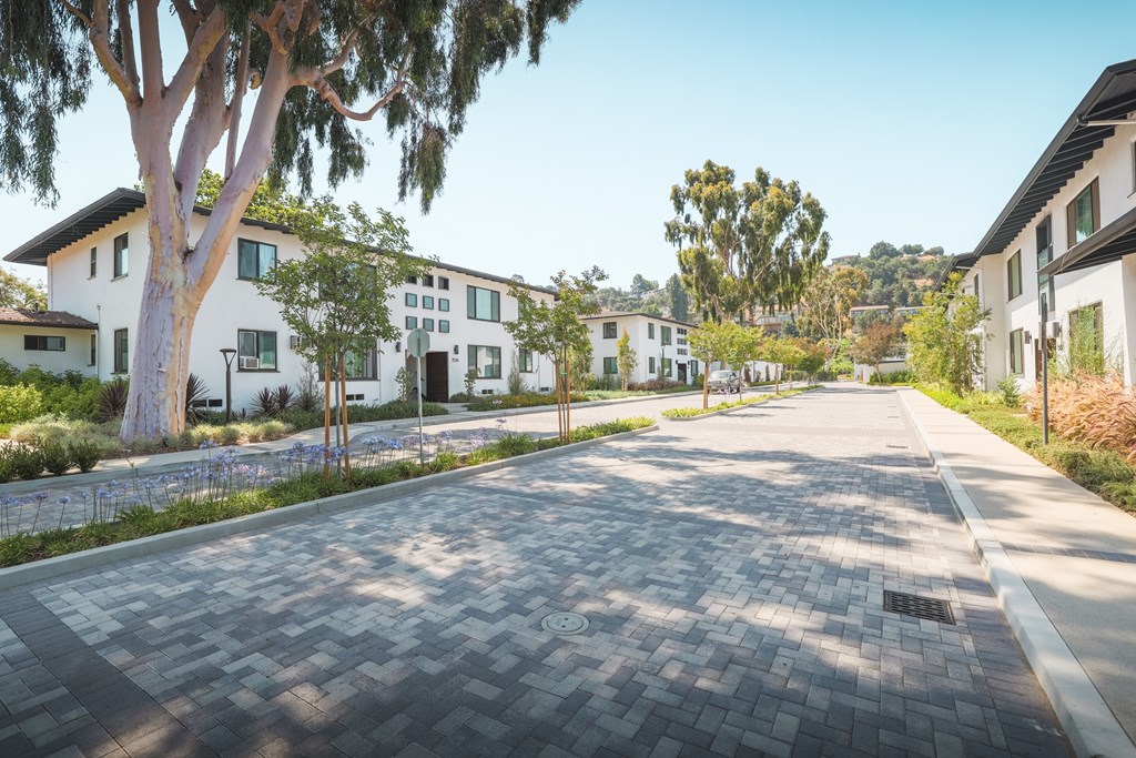 A residential street with houses on both sides and a tree in the foreground.