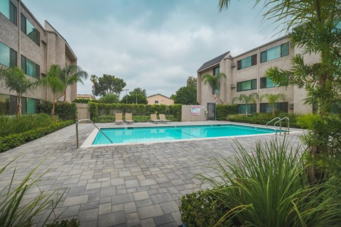 A swimming pool surrounded by a brick patio and green plants.