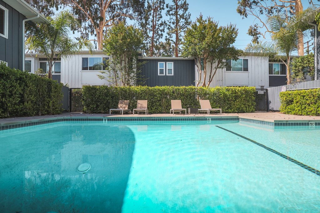 A swimming pool in a backyard with a hedge and a house in the background.